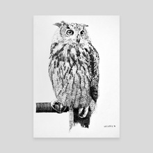 Another Owl - Canvas by Devon Leclercq