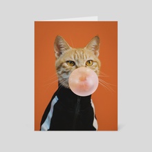 Cool cat - Card pack by Enkel Dika