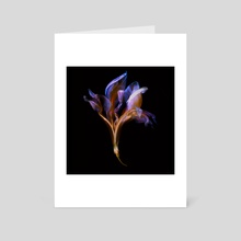 Iris I - Art Card by Patrick Miller