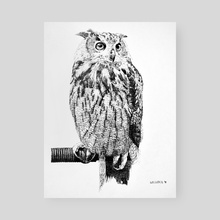 Another Owl - Poster by Devon Leclercq