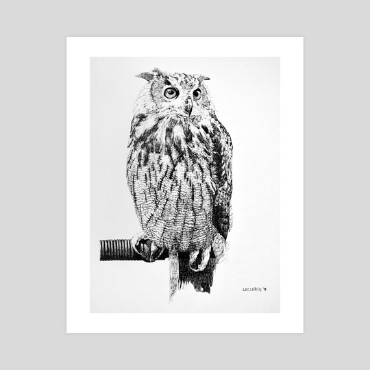 Another Owl by Devon Leclercq