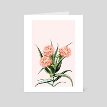 Blush Cactus v2 - Art Card by 83 Oranges by Uma Gokhale