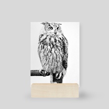 Another Owl - Mini Print by Devon Leclercq